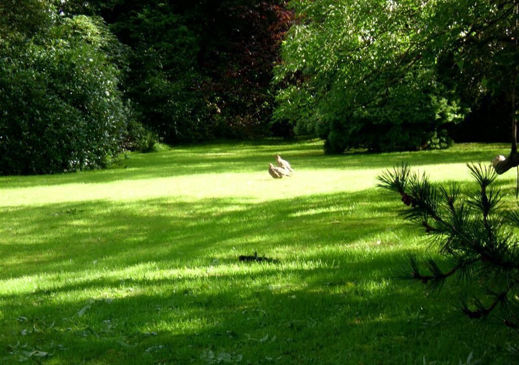 Photo of Outdoor in Cairndow