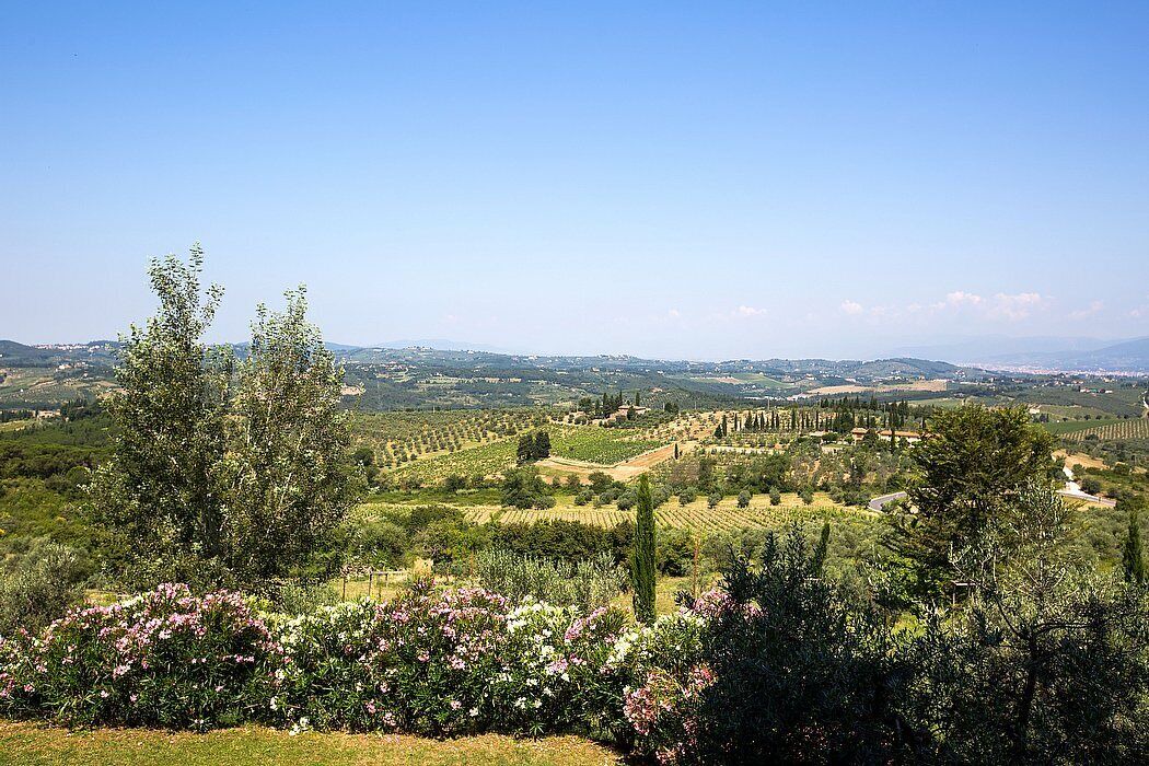 Photo of Others in Santo Stefano A Tizzano