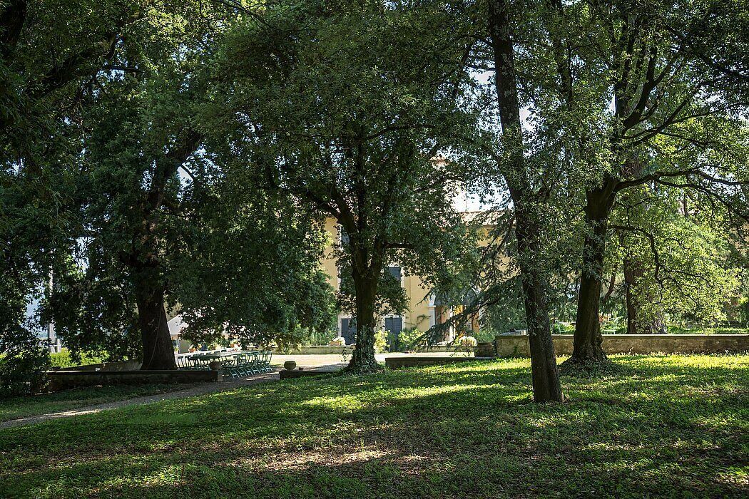 Photo of Outdoor in Santo Stefano A Tizzano