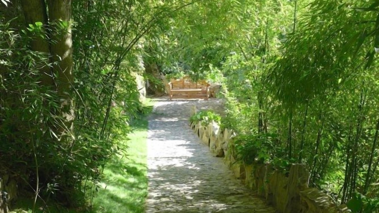 Photo of Outdoor in Blevio