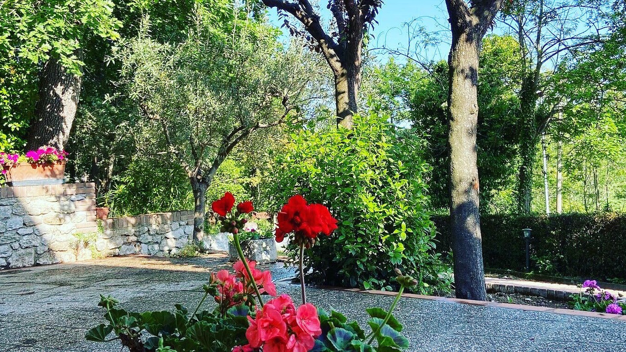 Photo of Outdoor in Verucchio