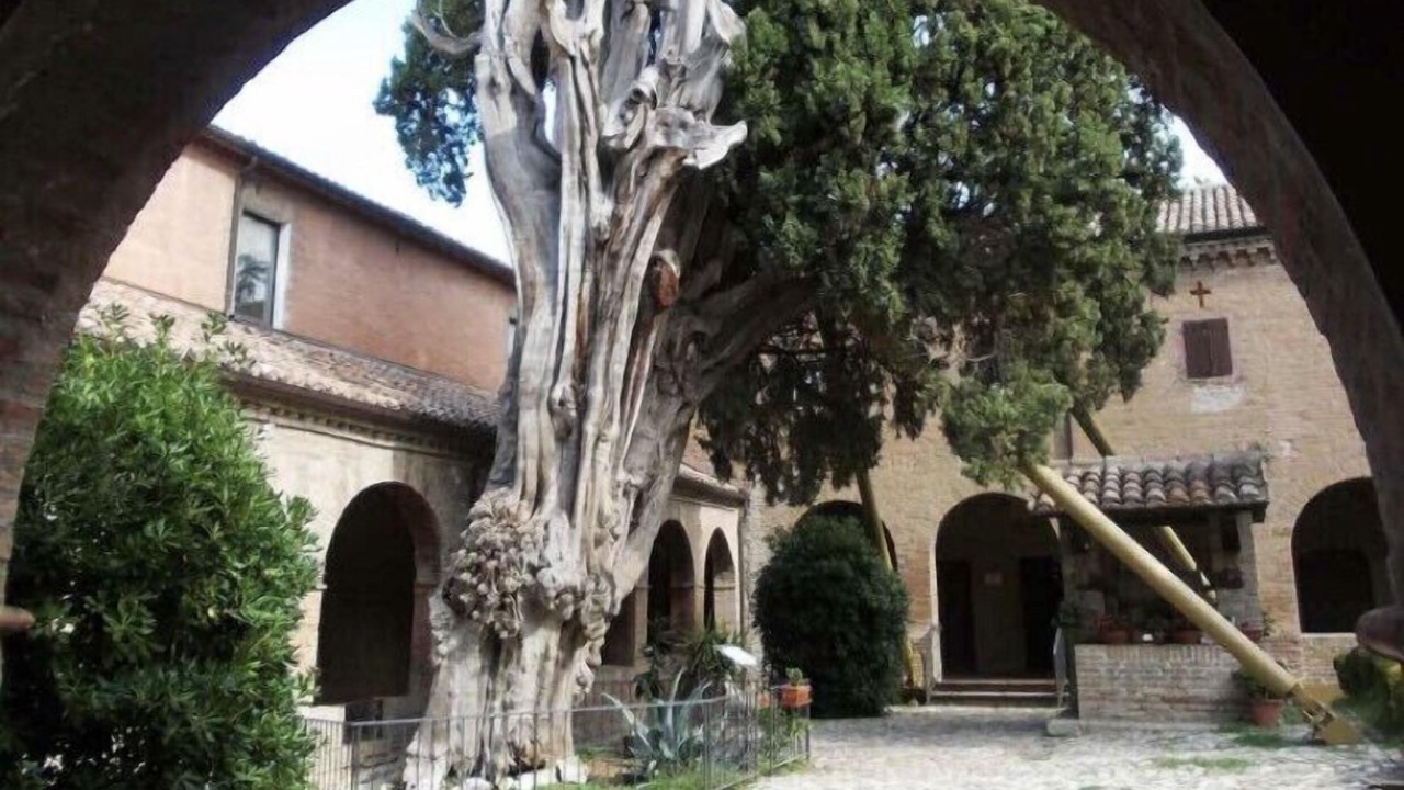 Photo of Outdoor in Verucchio