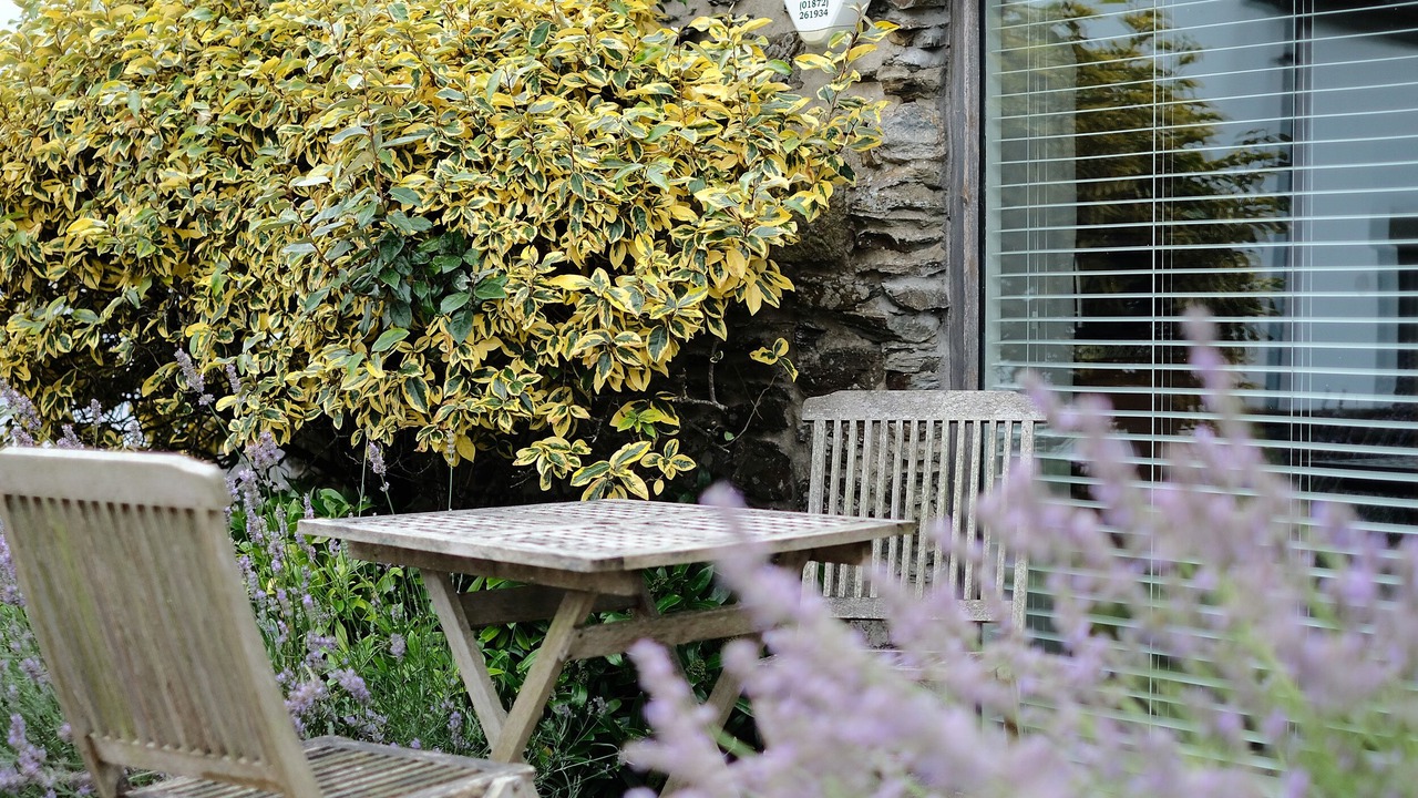 Photo of Outdoor in Crantock