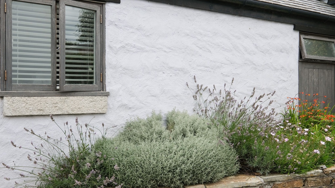 Photo of Outdoor in Crantock