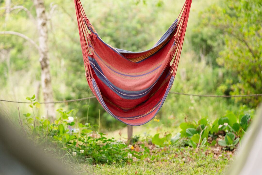 Photo of Outdoor in Canale Monterano