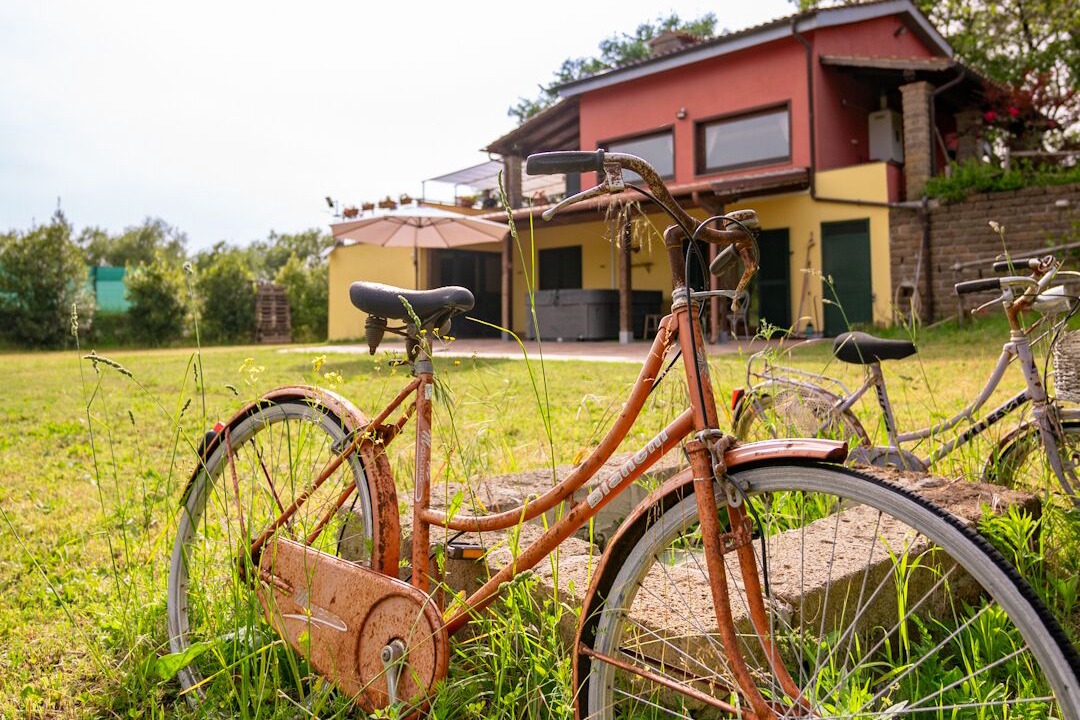 Photo of Outdoor in Canale Monterano