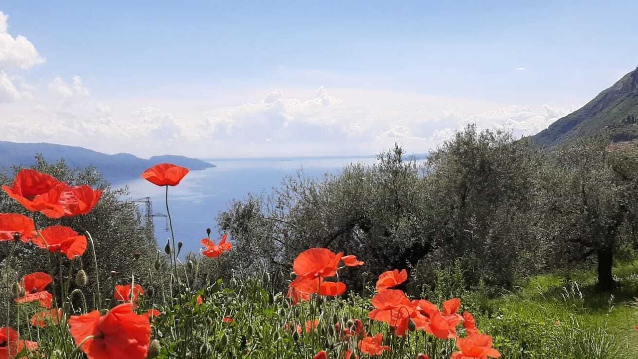 Photo of Outdoor in Oldesio