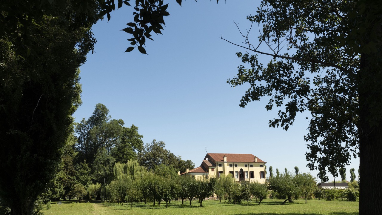 Photo of Outdoor in Vigonza