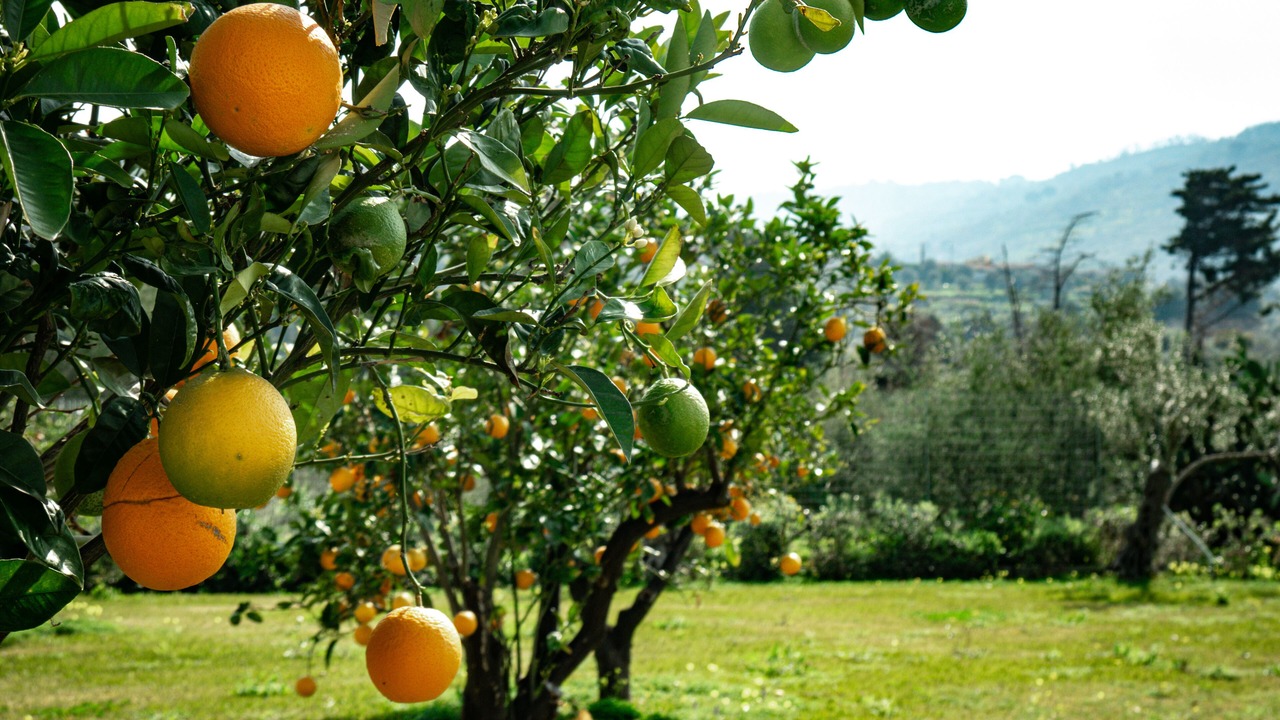 Photo of Outdoor in Capo d'Orlando