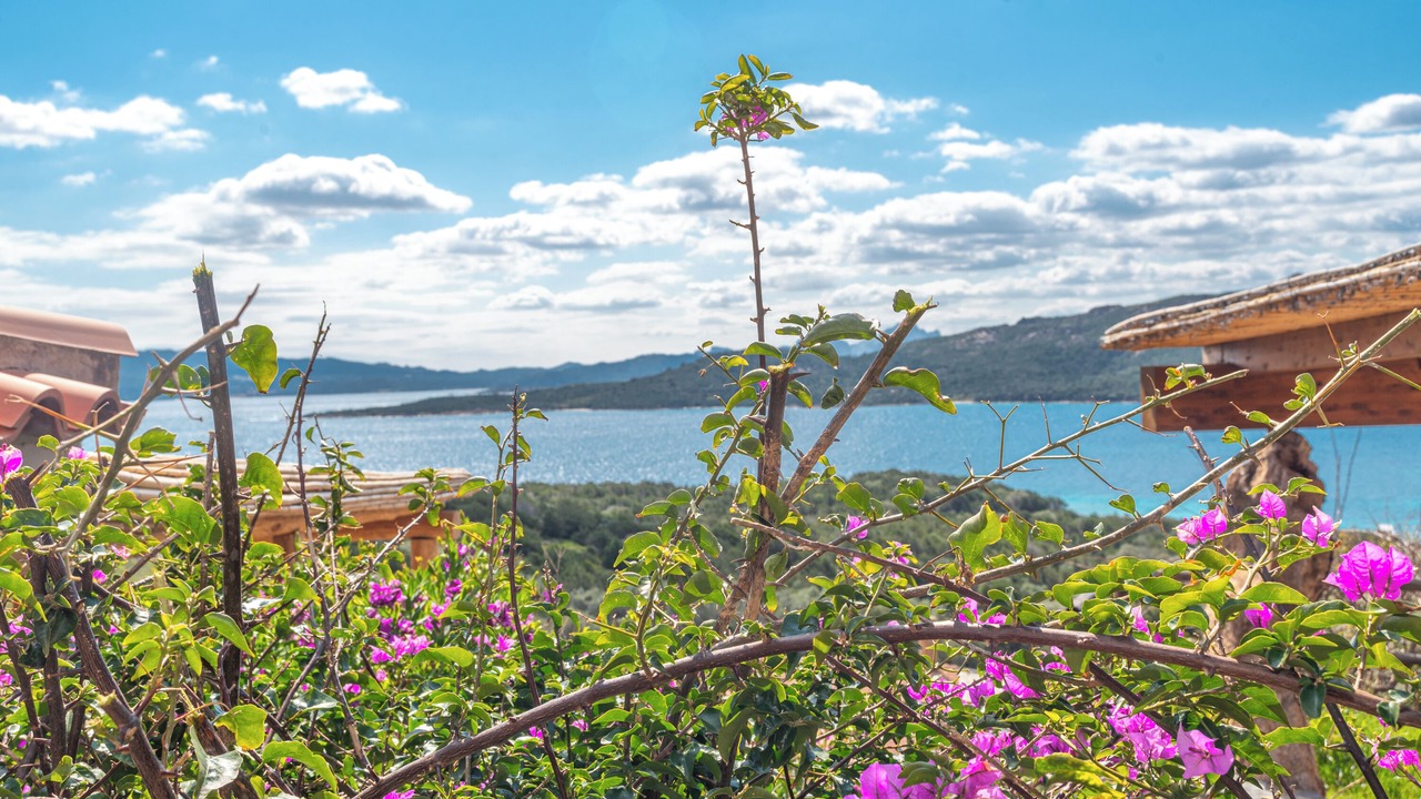Photo of Outdoor in Capo d'Orso