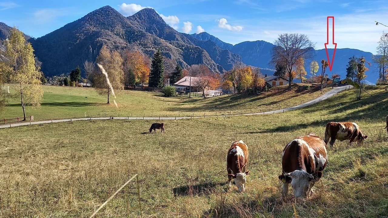 Photo of Others in Treviso Bresciano