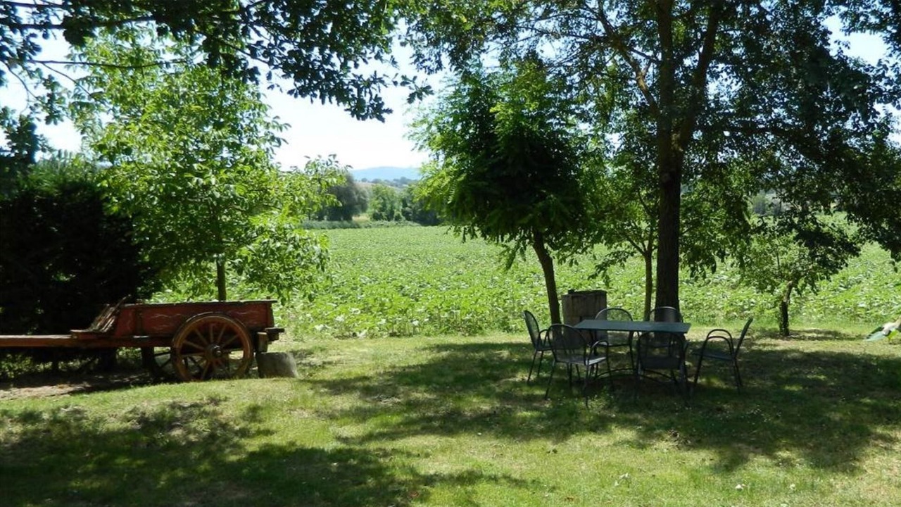 Photo of Outdoor in Bollano