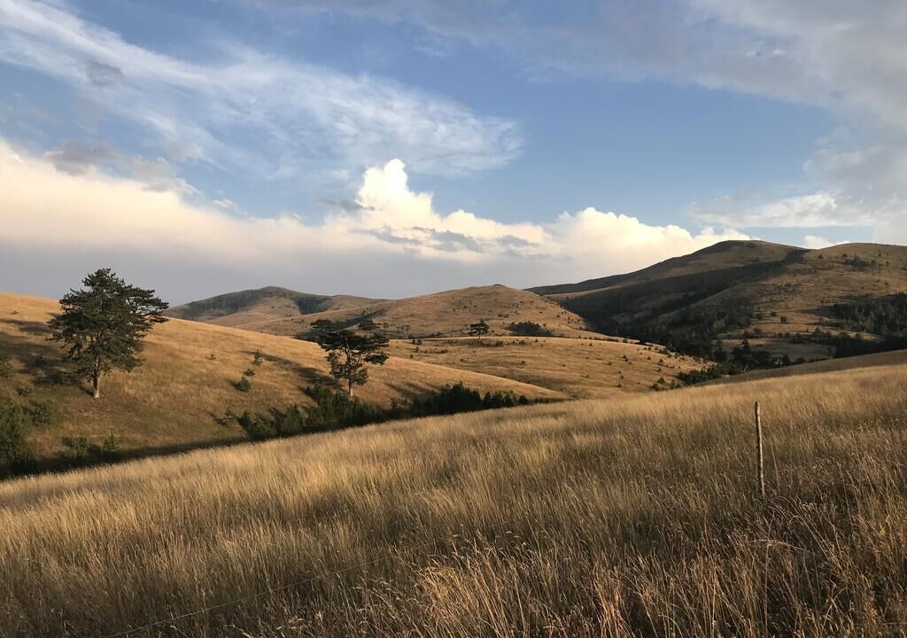 Photo of Others in Zlatibor