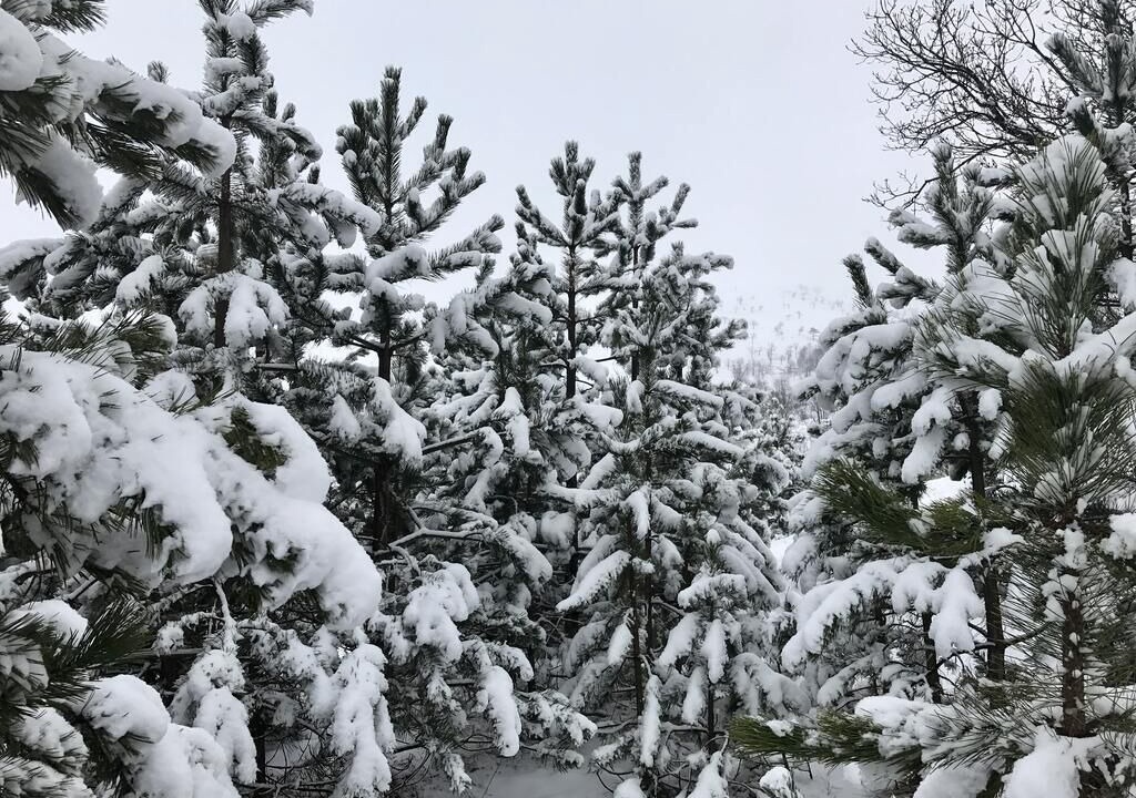 Photo of Outdoor in Zlatibor
