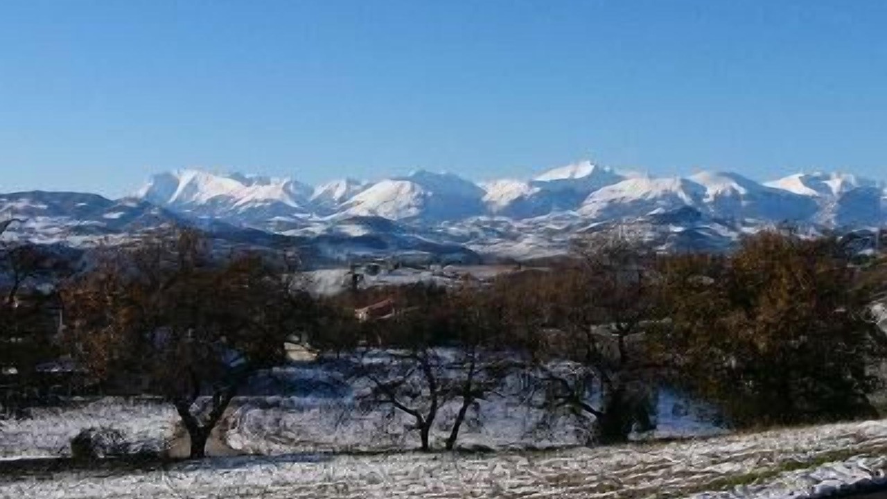 Photo of Others in Montegiorgio