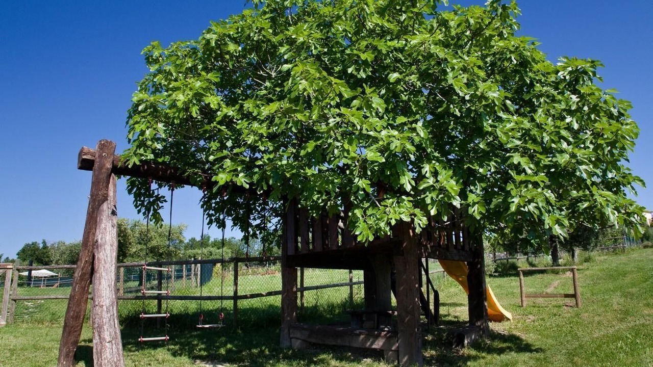 Photo of Outdoor in Montegiorgio