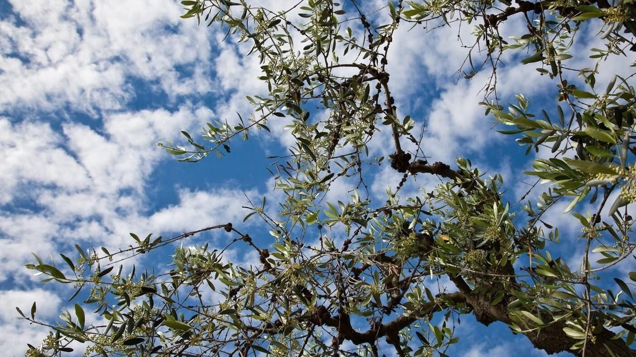 Photo of Outdoor in Montegiorgio