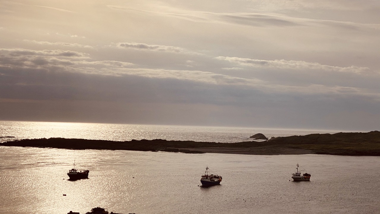 Photo of Others in Portnahaven