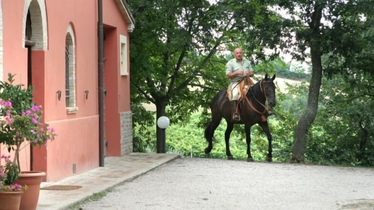 Photo of Outdoor in Serrungarina