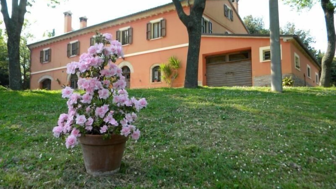 Photo of Outdoor in Serrungarina