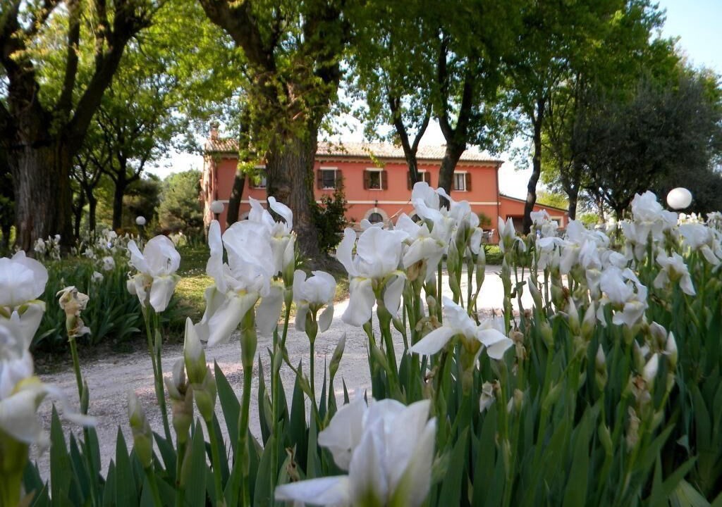 Photo of Outdoor in Serrungarina