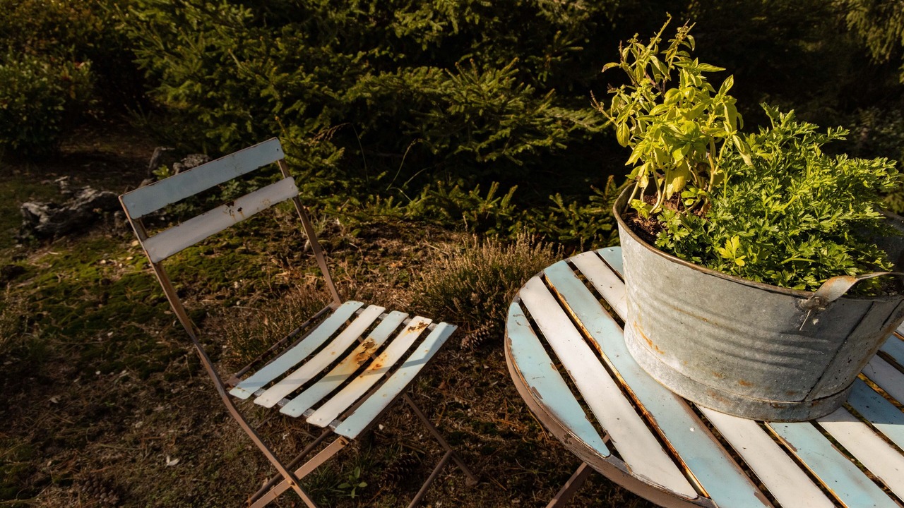 Photo of Outdoor in Mergozzo