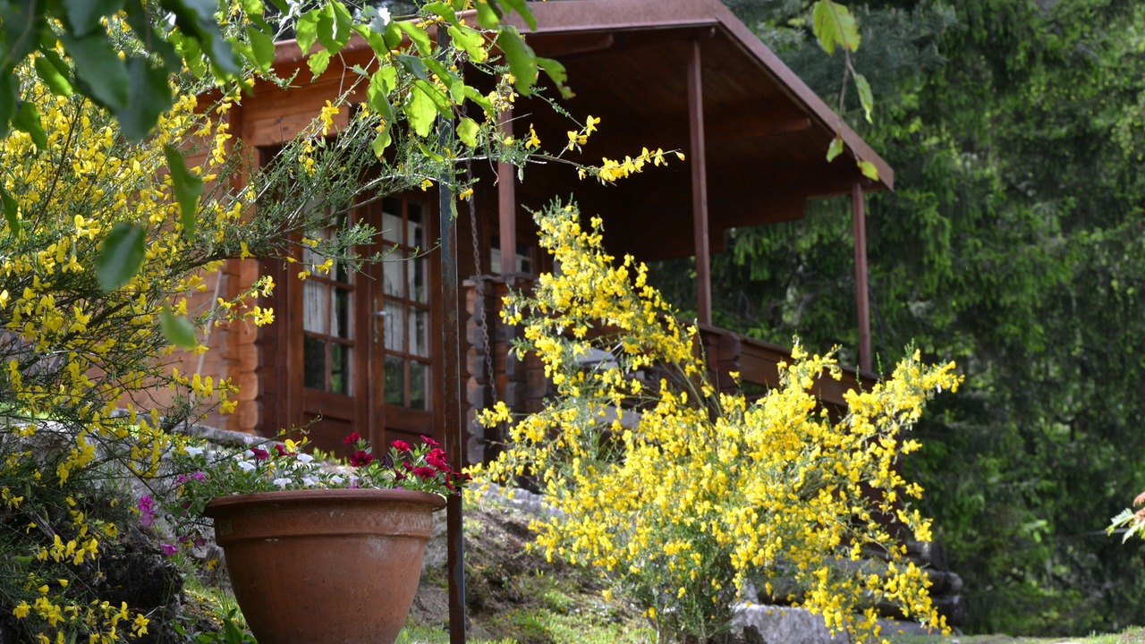 Photo of Outdoor in Mergozzo