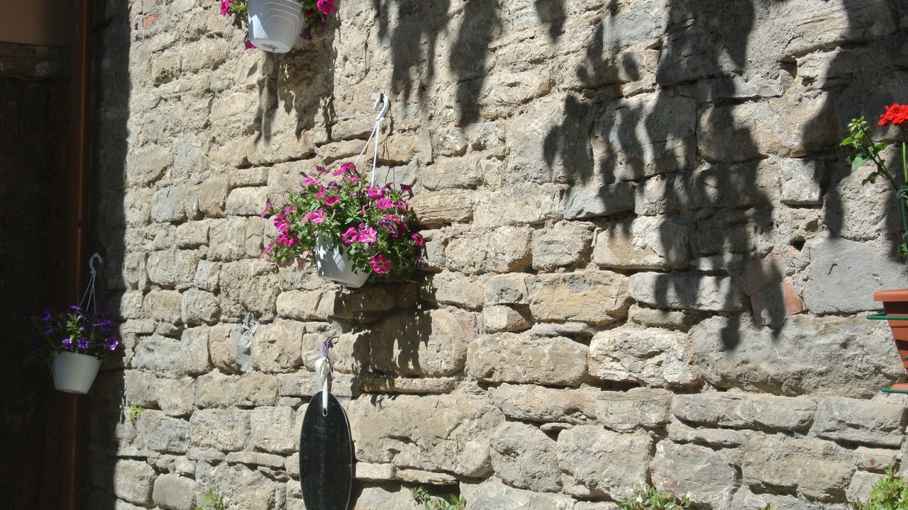 Photo of Outdoor in Bagno di Romagna