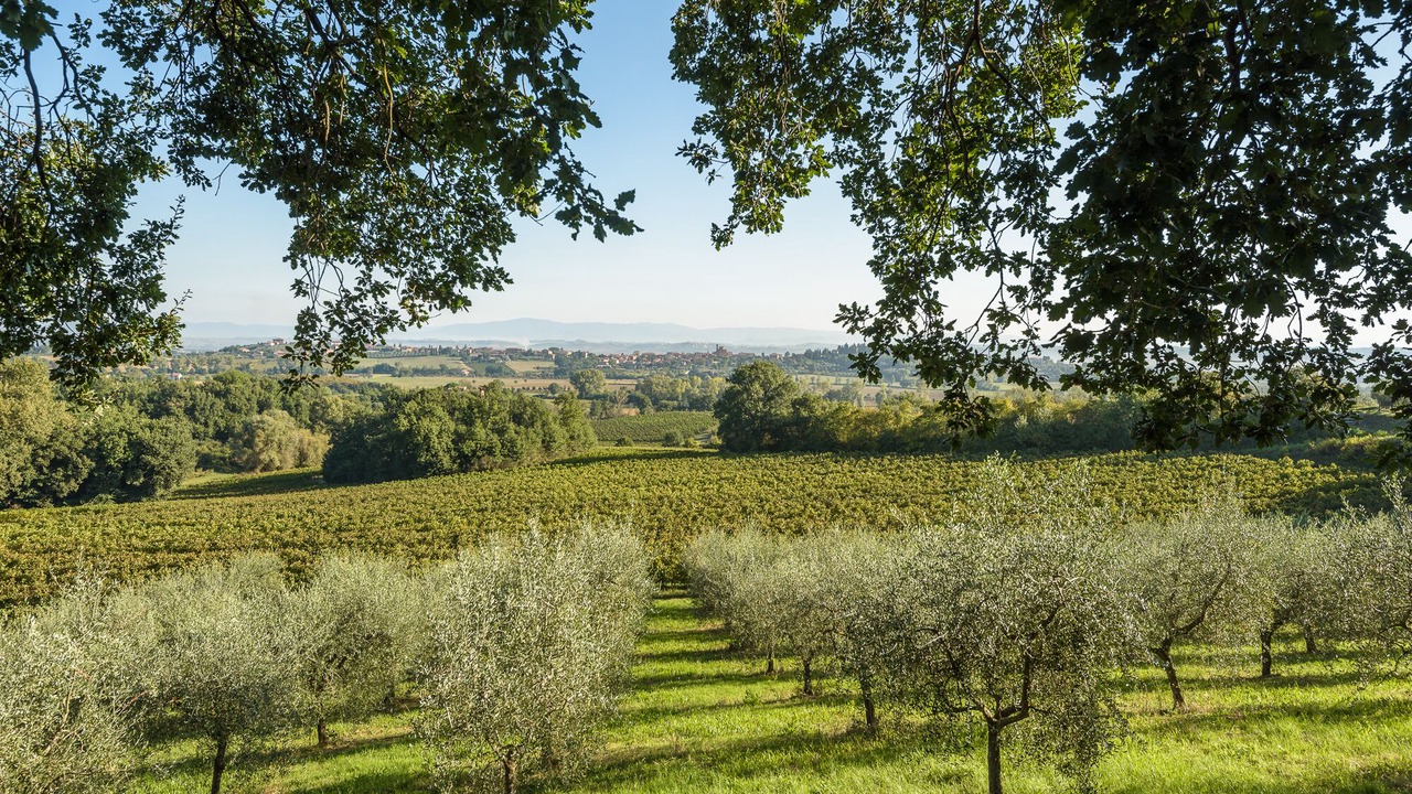 Photo of Outdoor in Acquaviva