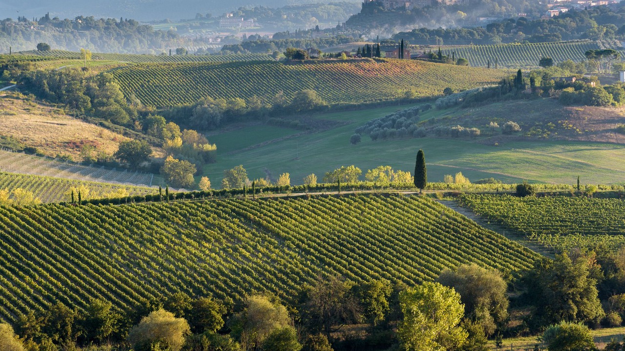 Photo of Outdoor in Acquaviva