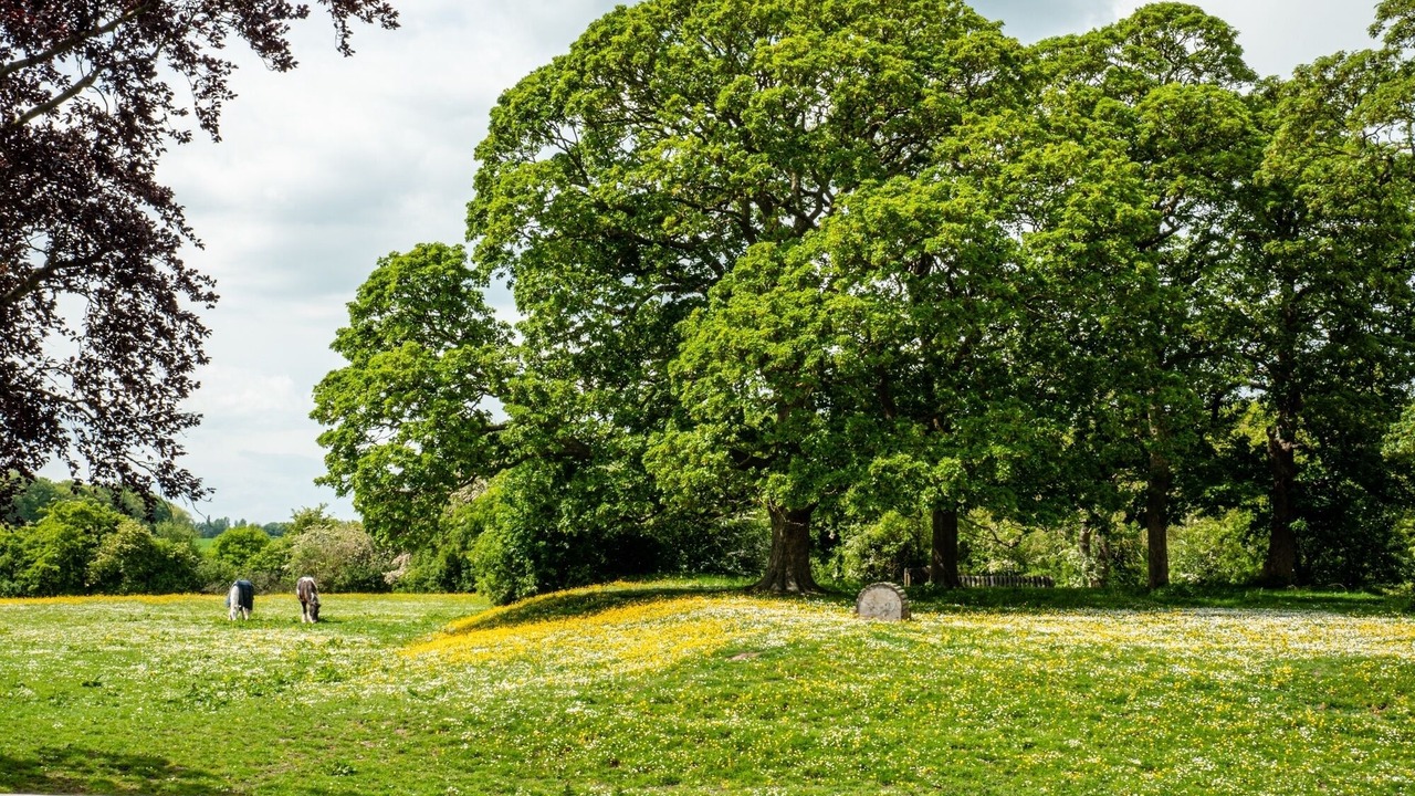 Photo of Others in York