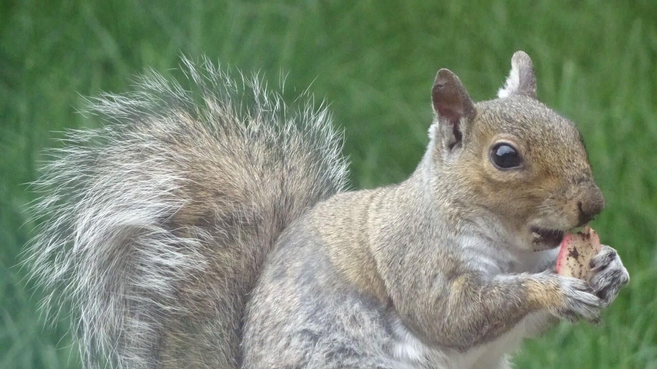 Photo of Others in York