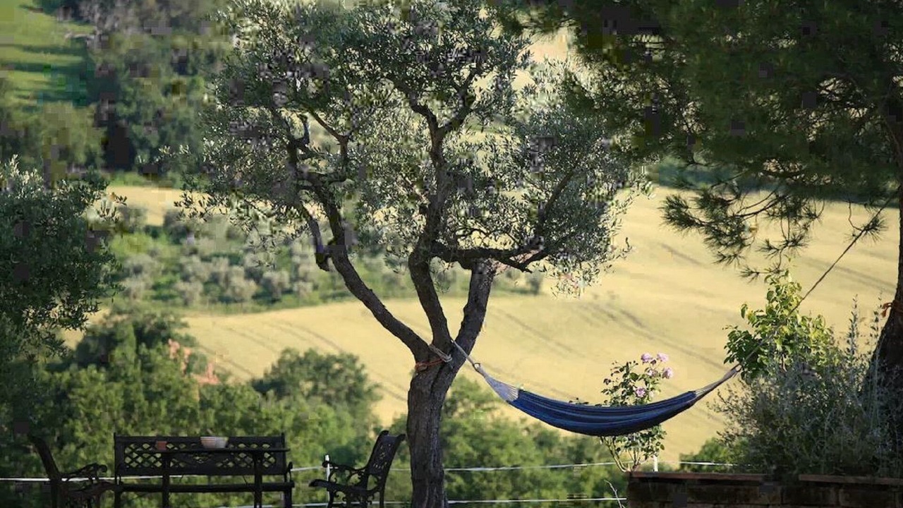 Photo of Outdoor in Loro Piceno