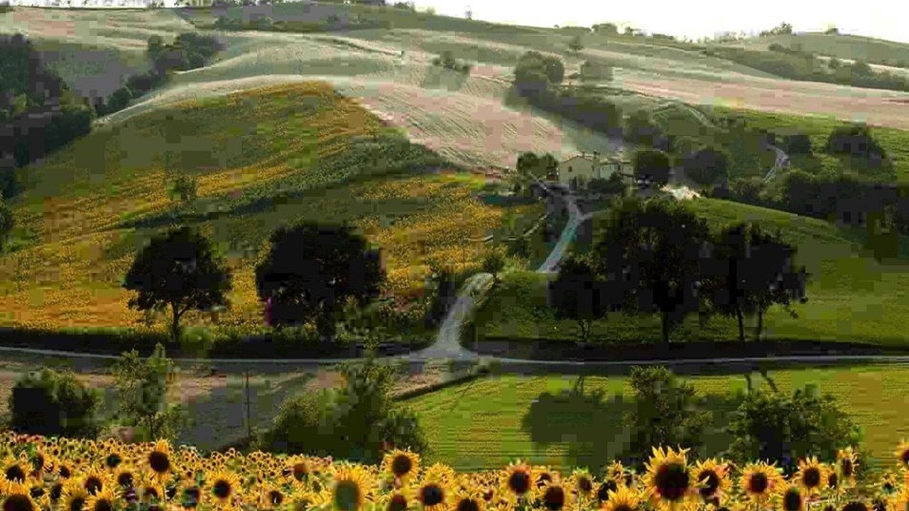 Photo of Outdoor in Loro Piceno