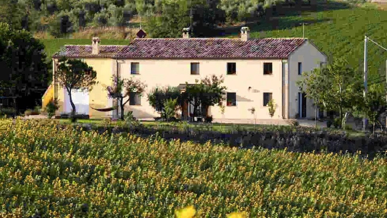Photo of Outdoor in Loro Piceno