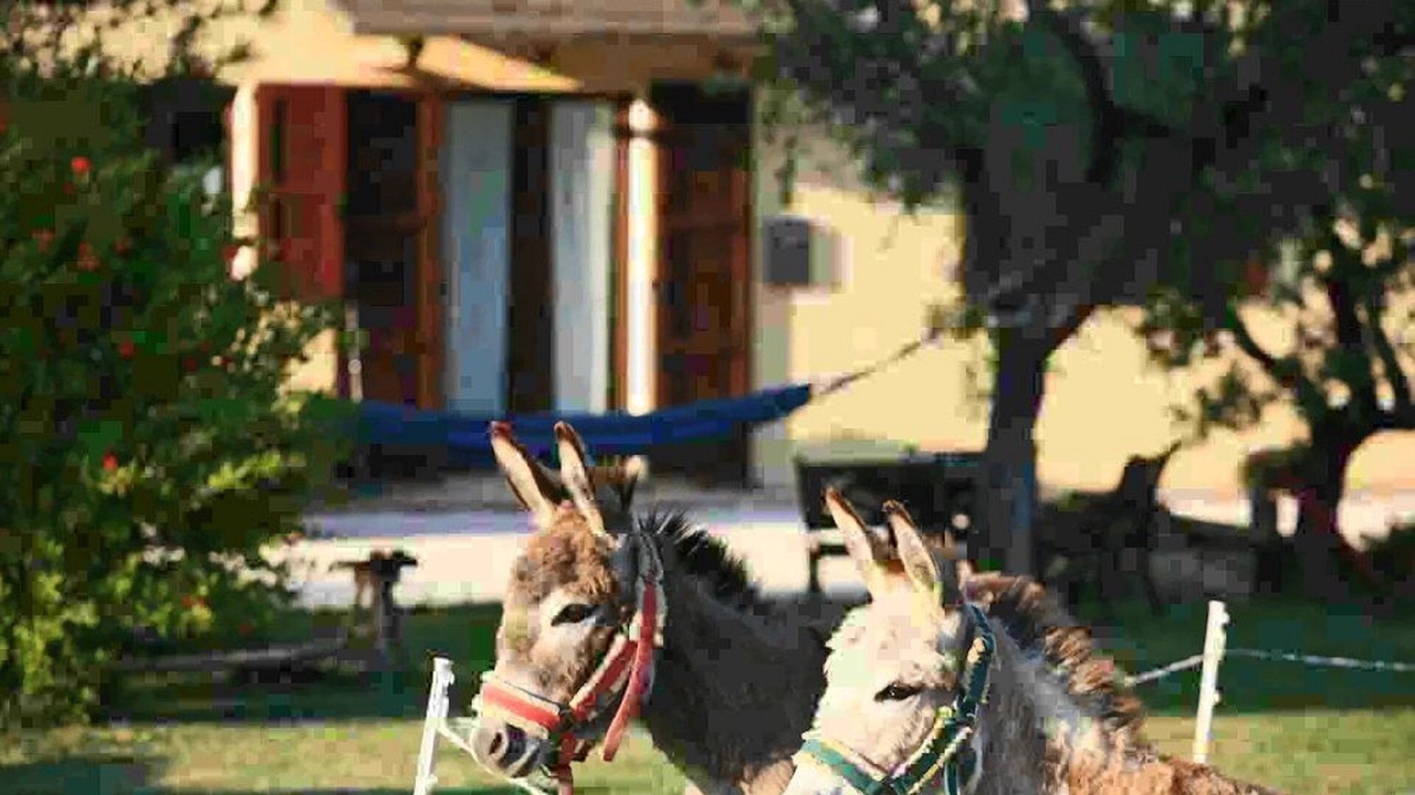 Photo of Outdoor in Loro Piceno
