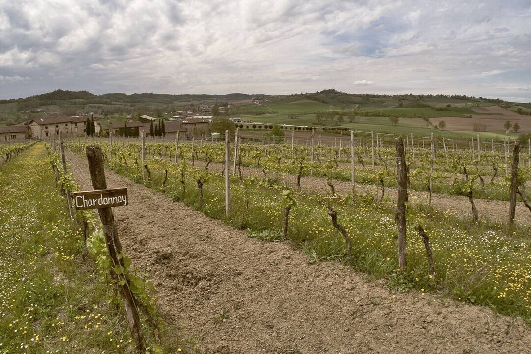 Photo of Outdoor in Vignale Monferrato