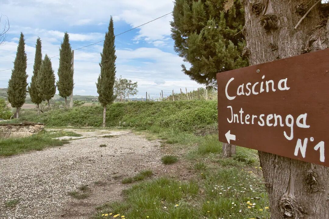 Photo of Outdoor in Vignale Monferrato
