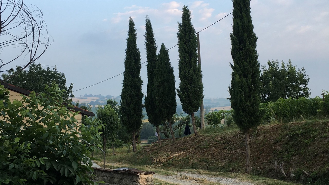 Photo of Outdoor in Vignale Monferrato