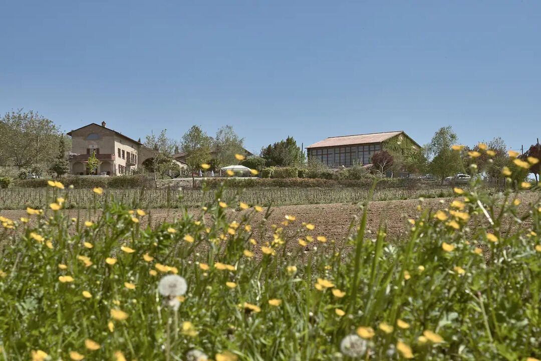Photo of Outdoor in Vignale Monferrato