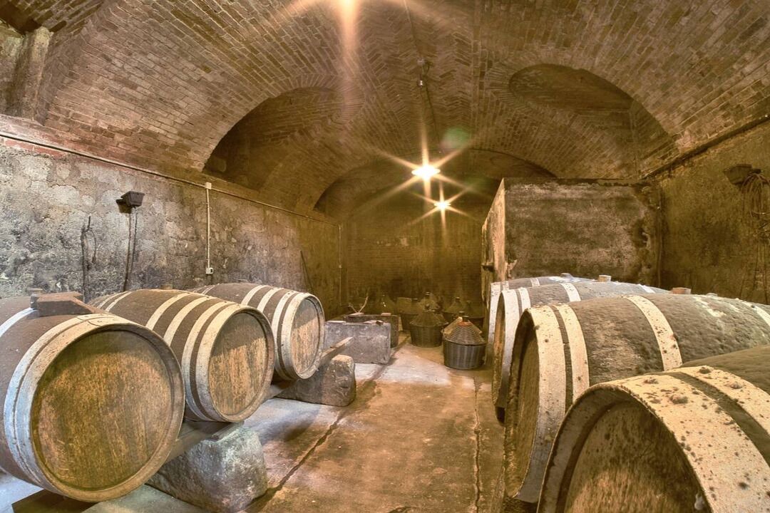 Photo of Others in Vignale Monferrato