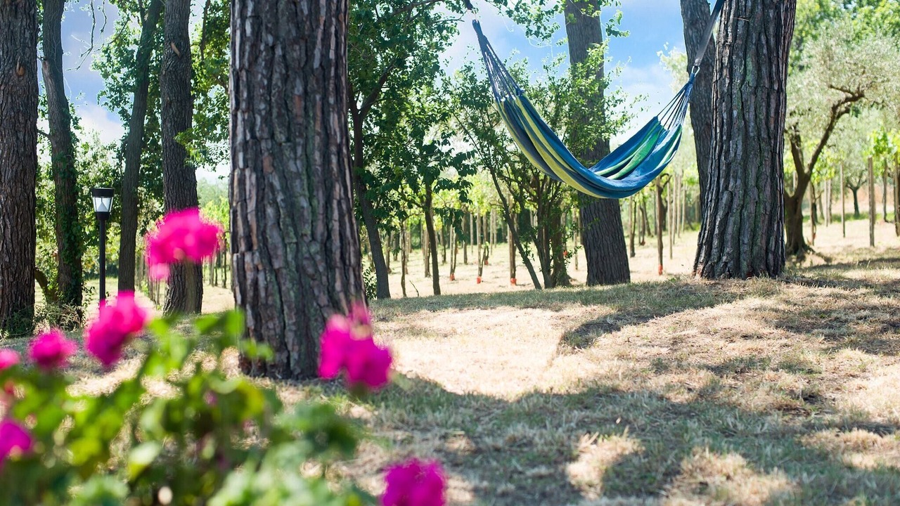 Photo of Outdoor in Pesaro