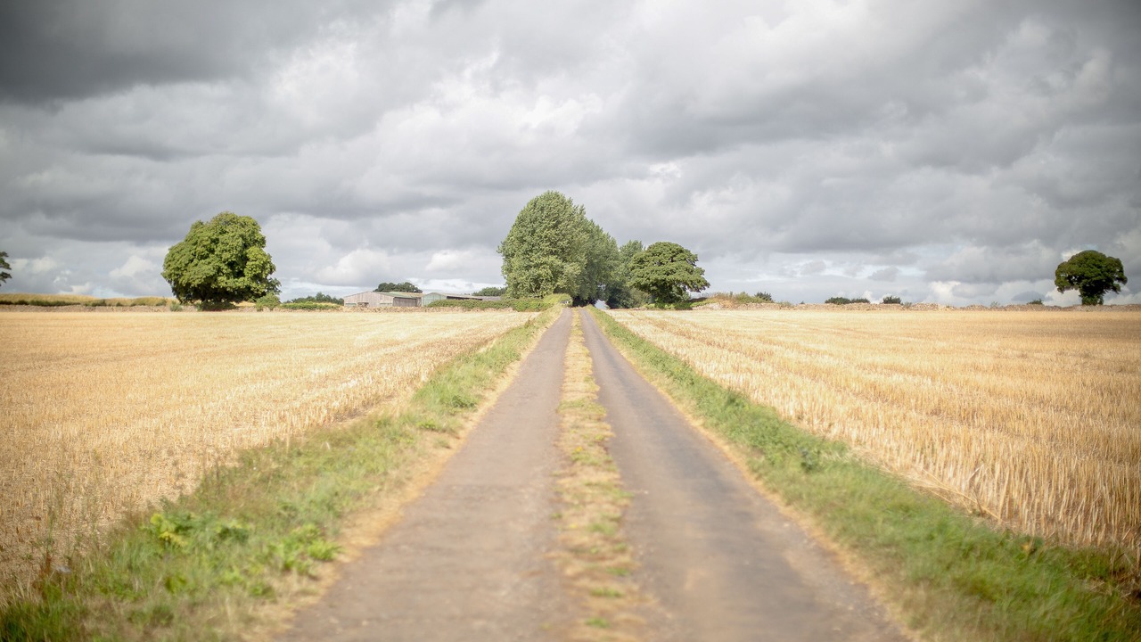 Photo of Outdoor in Chipping Sodbury