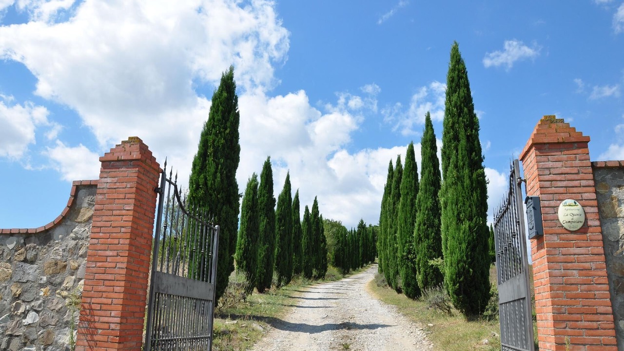 Photo of Others in Il Poggio