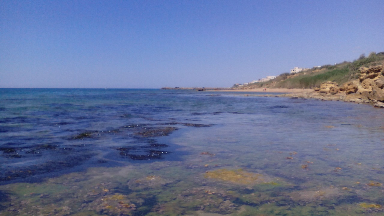 Photo of Others in Marinella di Selinunte