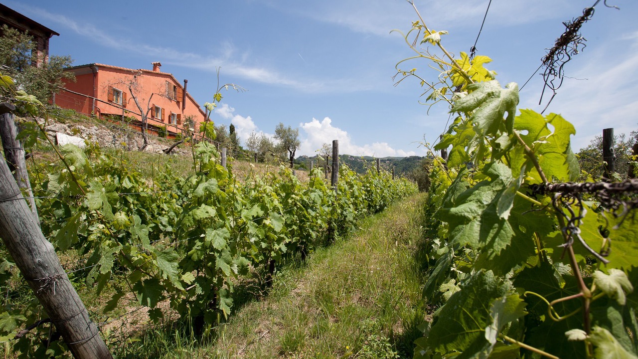 Photo of Outdoor in Fosdinovo