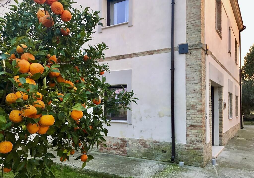 Photo of Outdoor in Nuova Cliternia