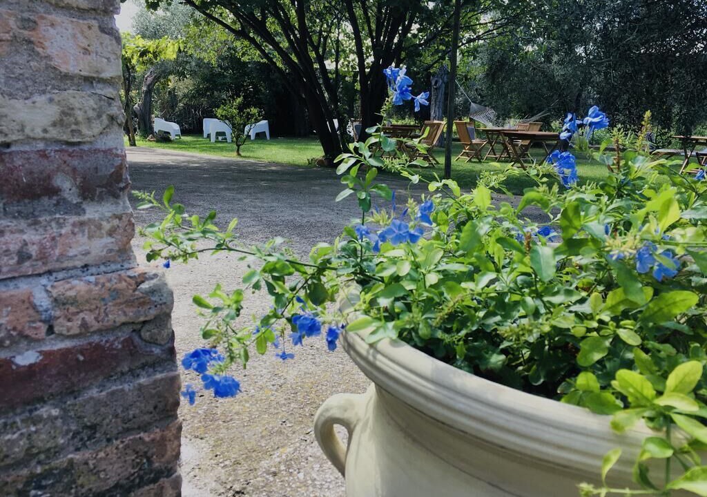 Photo of Outdoor in Nuova Cliternia