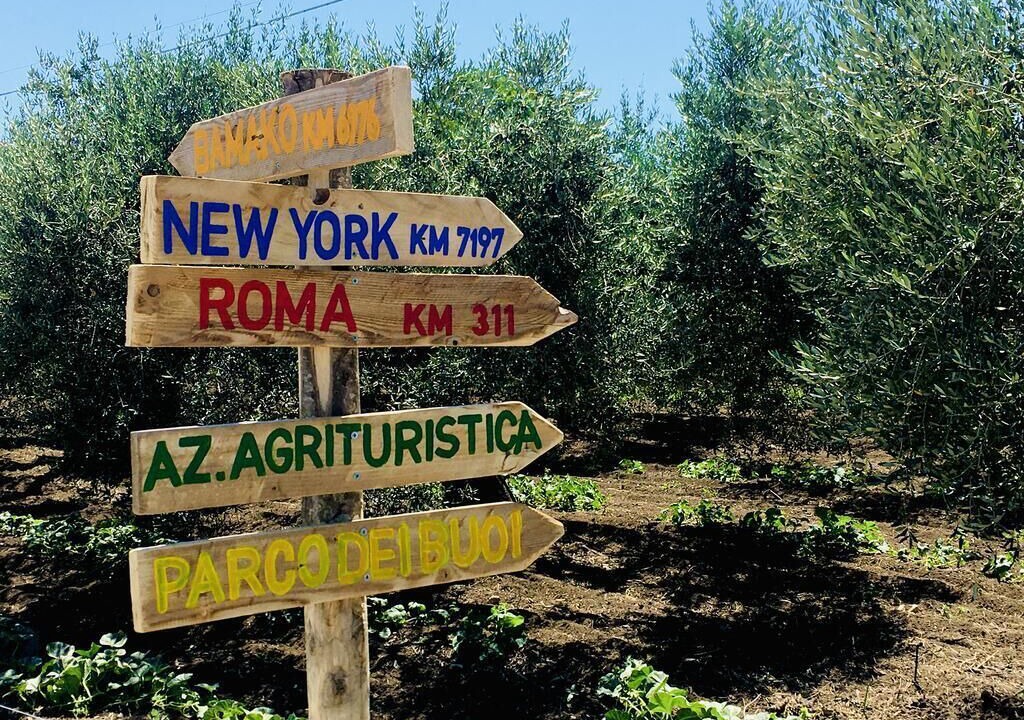 Photo of Outdoor in Nuova Cliternia