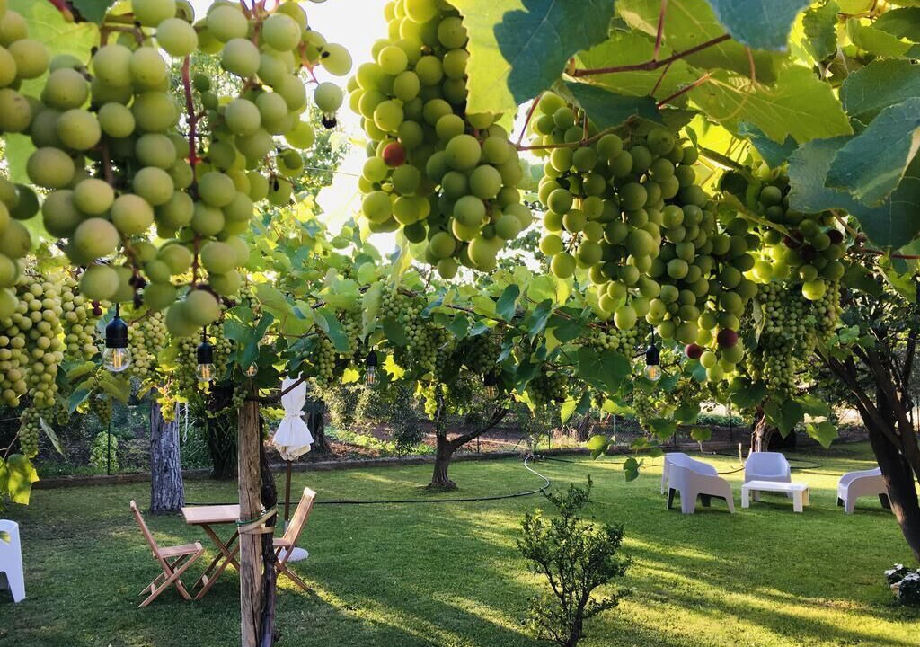 Photo of Outdoor in Nuova Cliternia